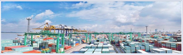 广州集装箱码头二次签约合协人力资源软件